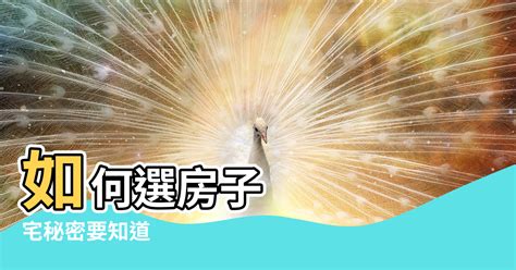 坐西南向東北風水|大師教你五妙招正確測量屋宅風水方位(圖)